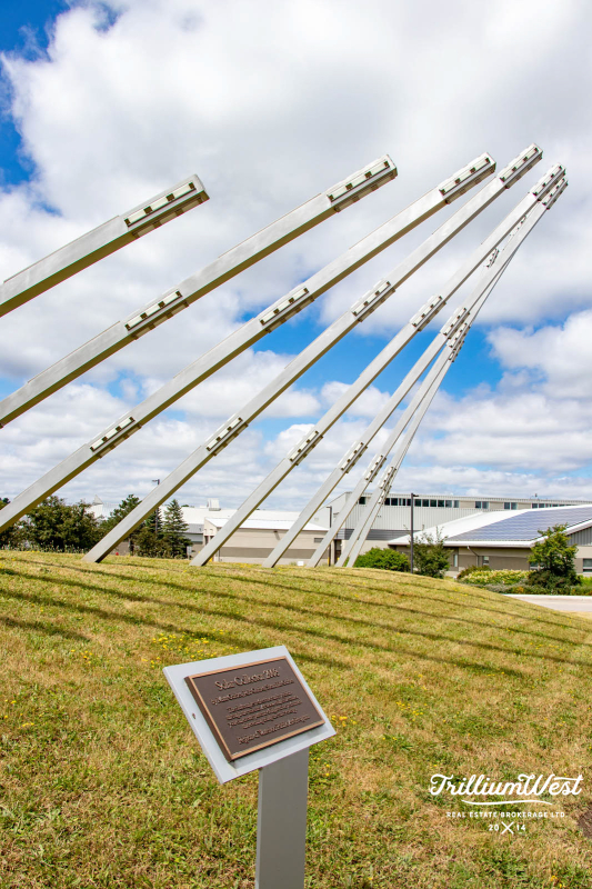 MapleGrovegallery 5 of 