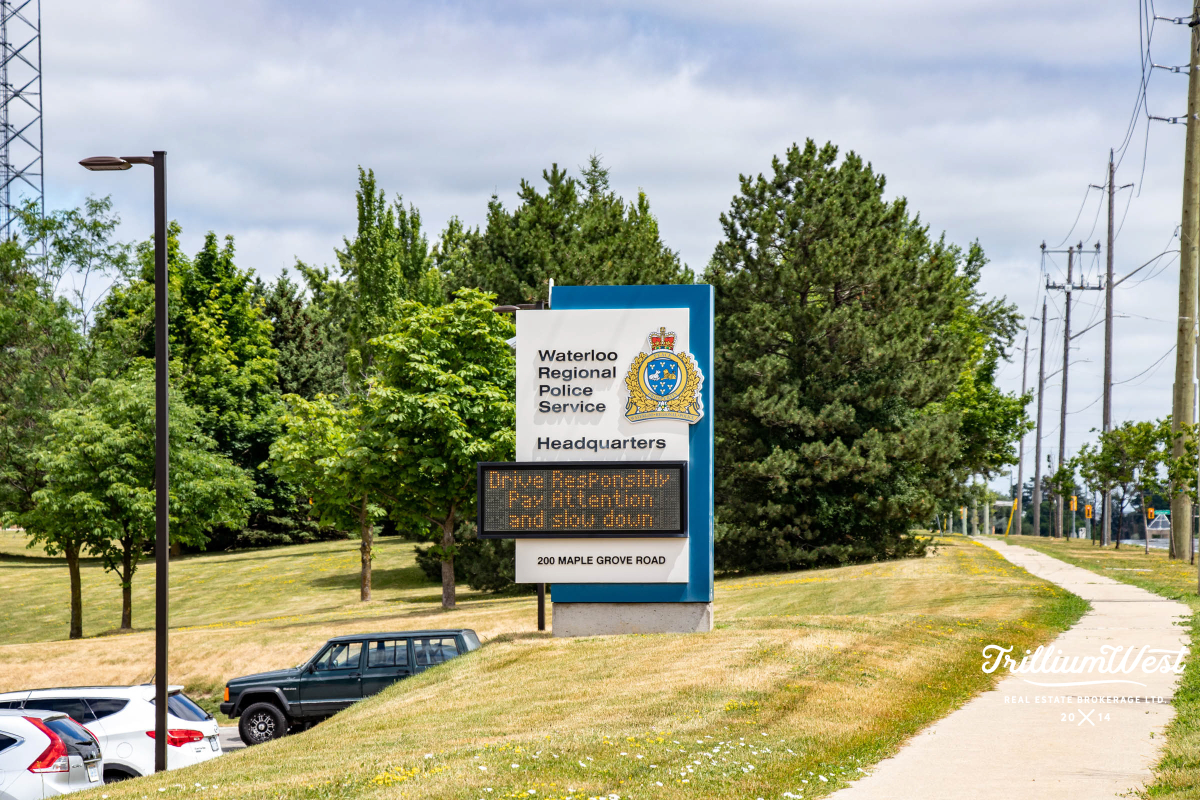 MapleGrovegallery 6 of 