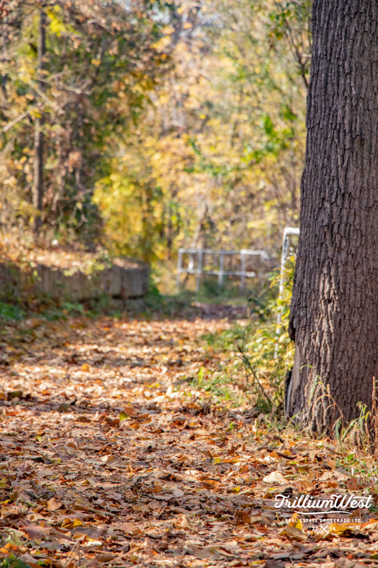 MoffattCreekImageGallery 