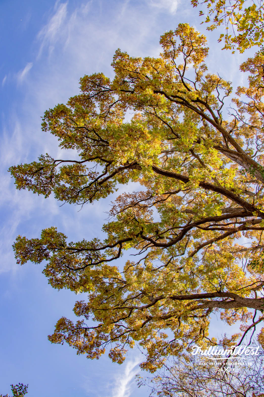 MoffattCreekImageGallery 