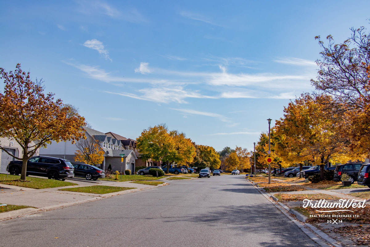 MoffattCreekImageGallery 