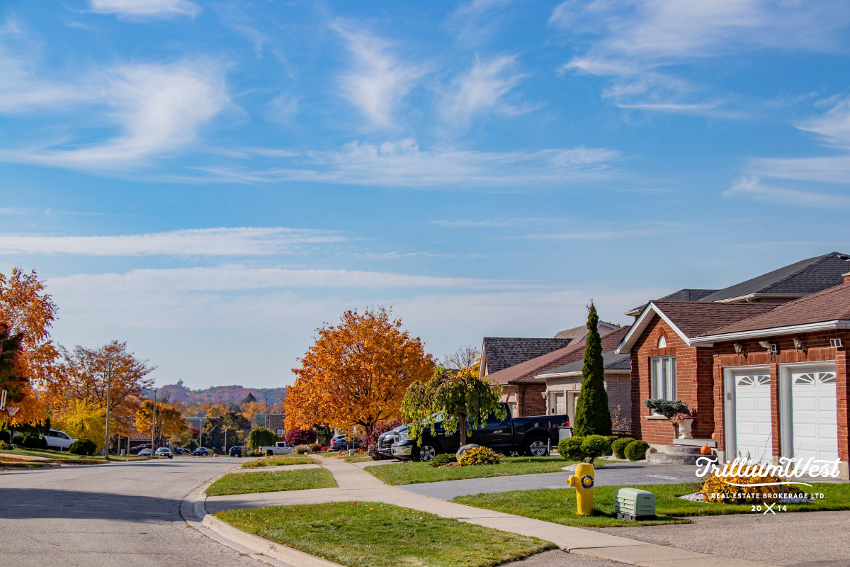 MoffattCreekImageGallery 