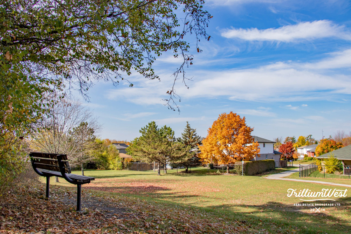 MoffattCreekImageGallery 