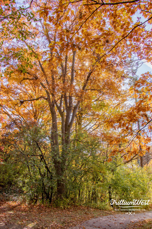 MoffattCreekImageGallery 