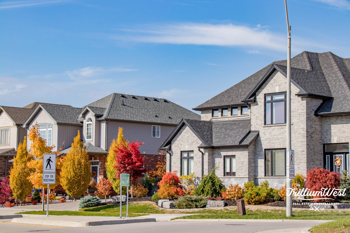 MoffattCreekImageGallery 