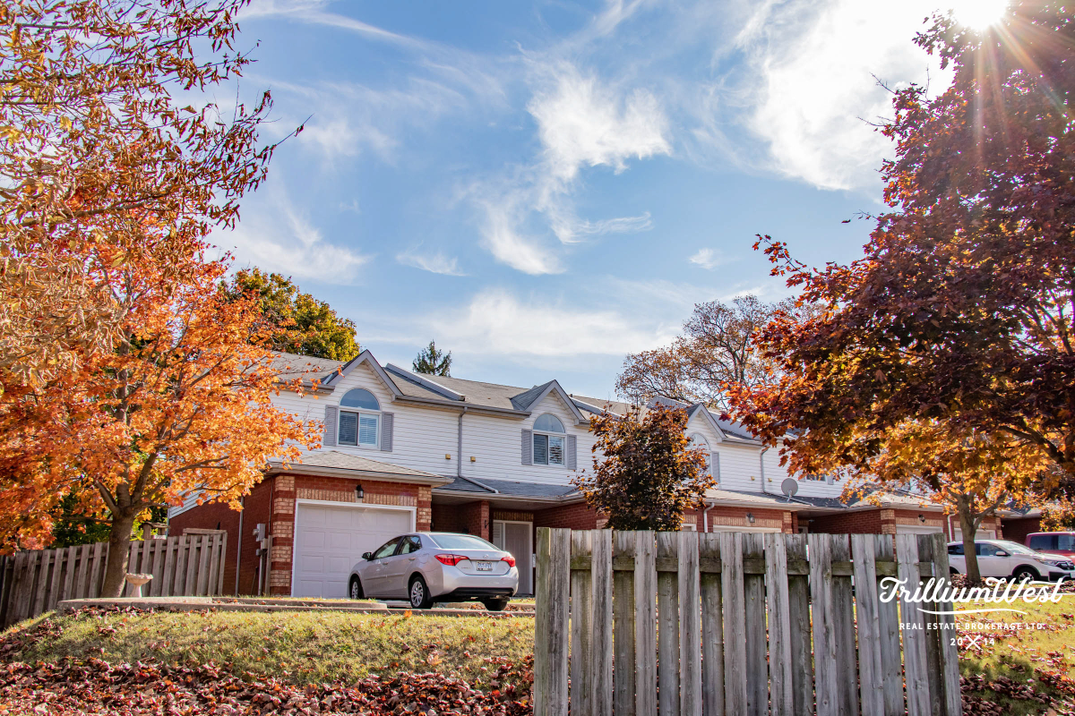 MoffattCreekImageGallery 