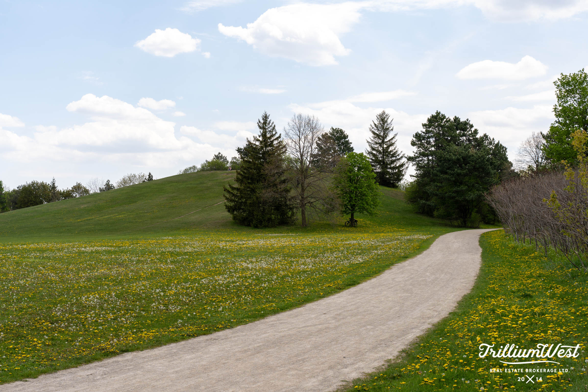 Municipal Centential Park 3 copy