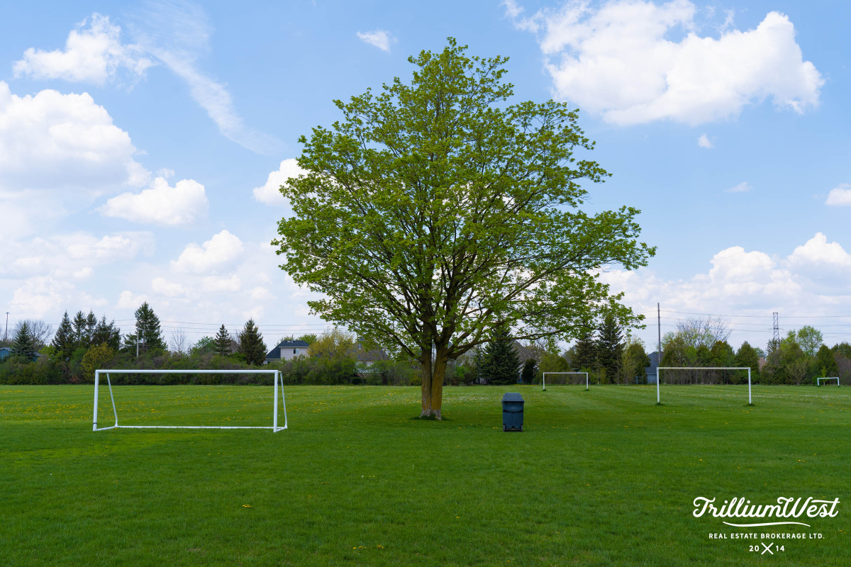 Municipal Centential Park 6 copy