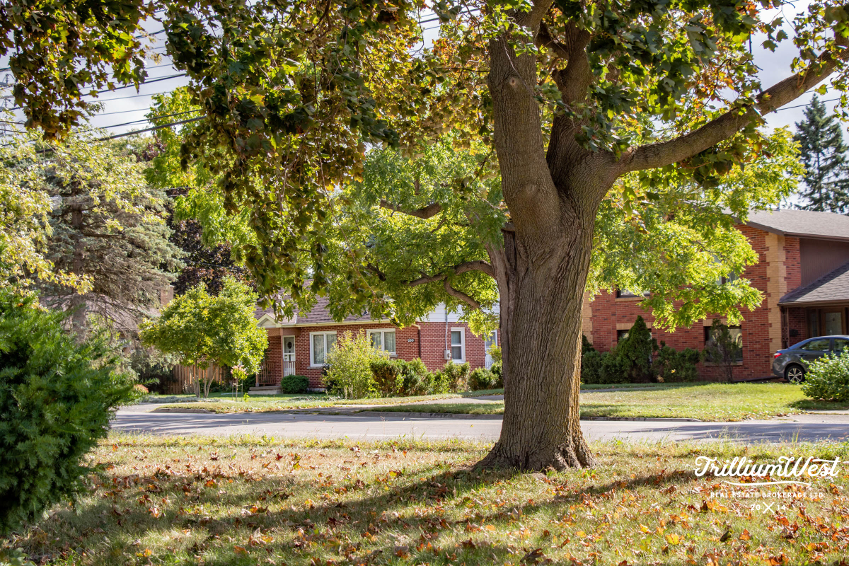 MunicipalParkgallery 