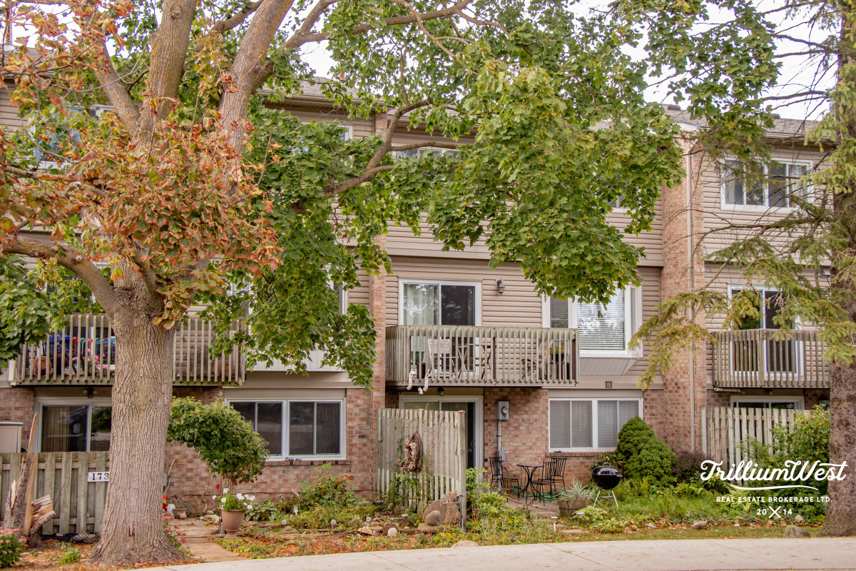 MunicipalParkgallery 