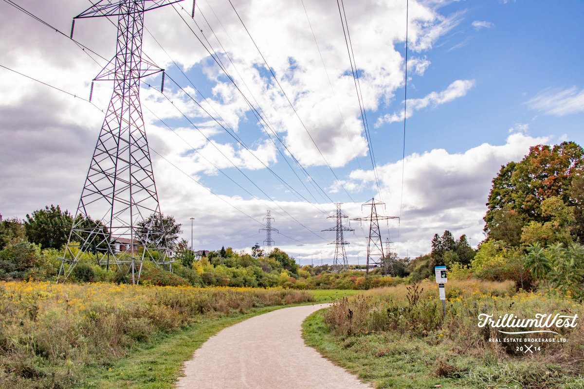 MunicipalParkgallery 