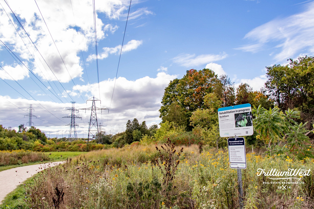 MunicipalParkgallery 