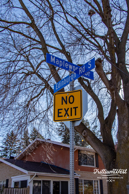 MunicipalParkgallery 