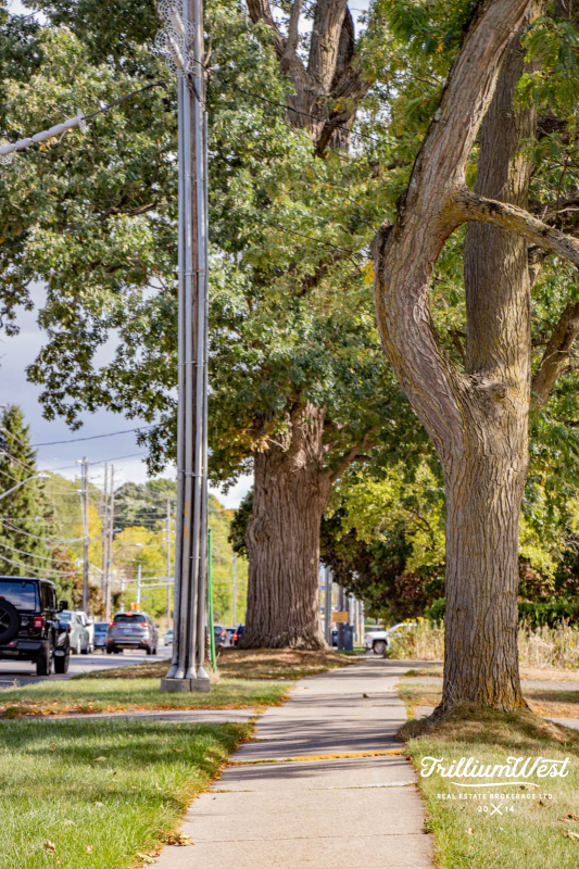 MunicipalParkgallery 