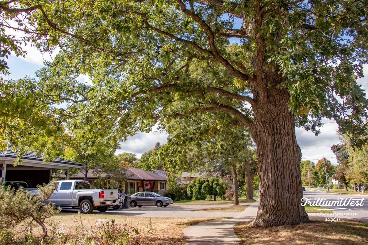 MunicipalParkgallery 