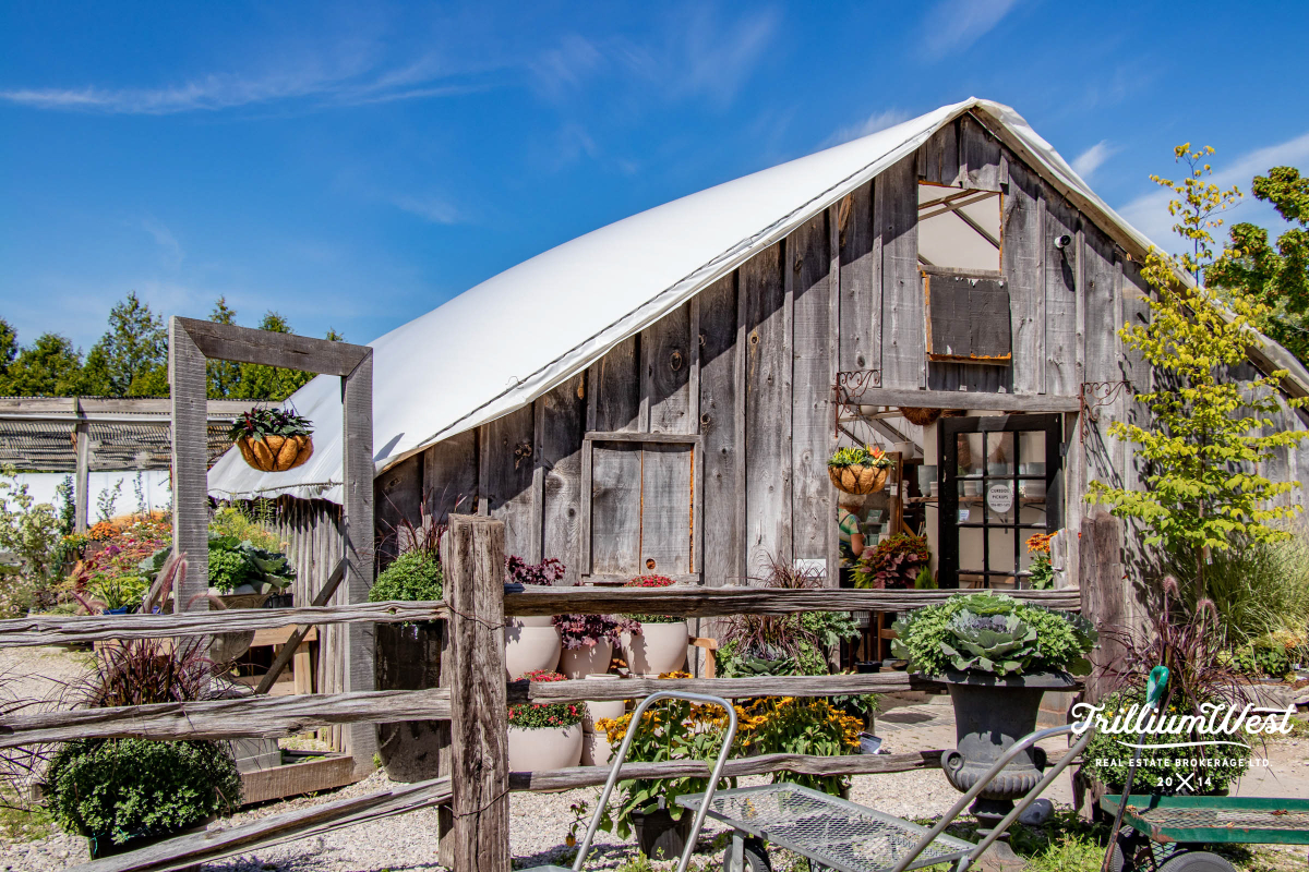 PergolaCommonsgallery 