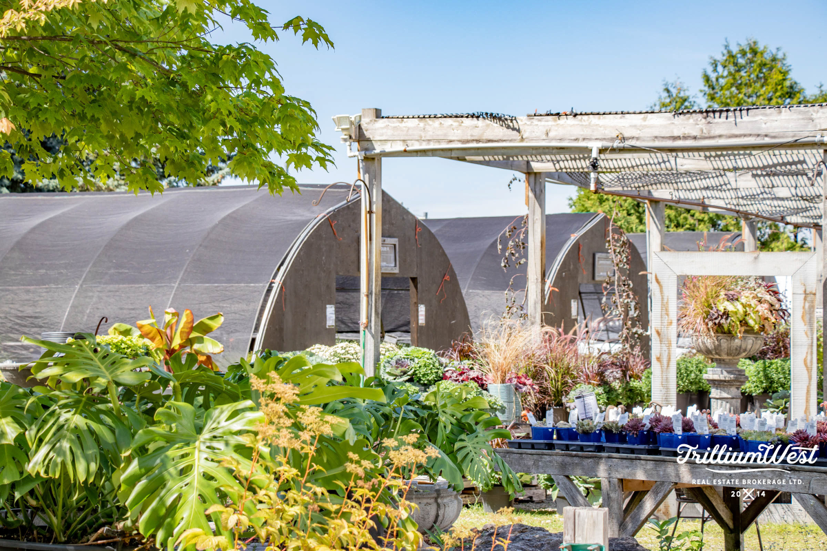 PergolaCommonsgallery 