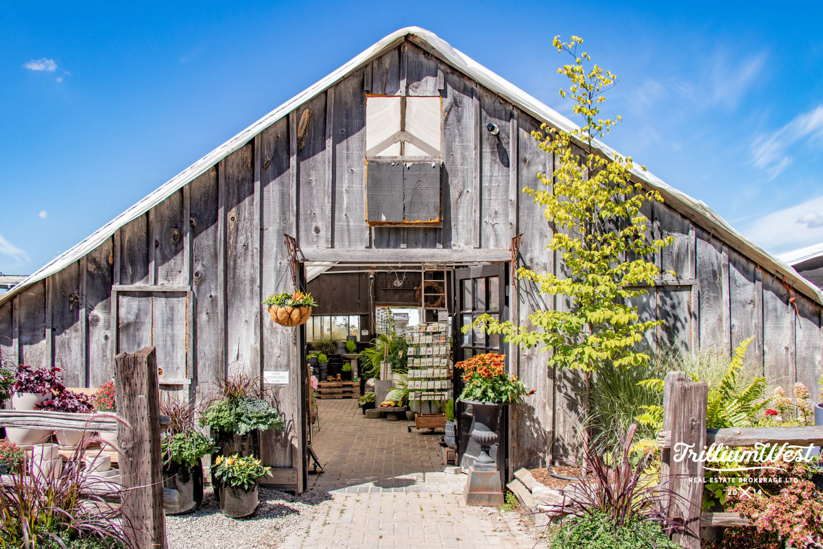 PergolaCommonsgallery 