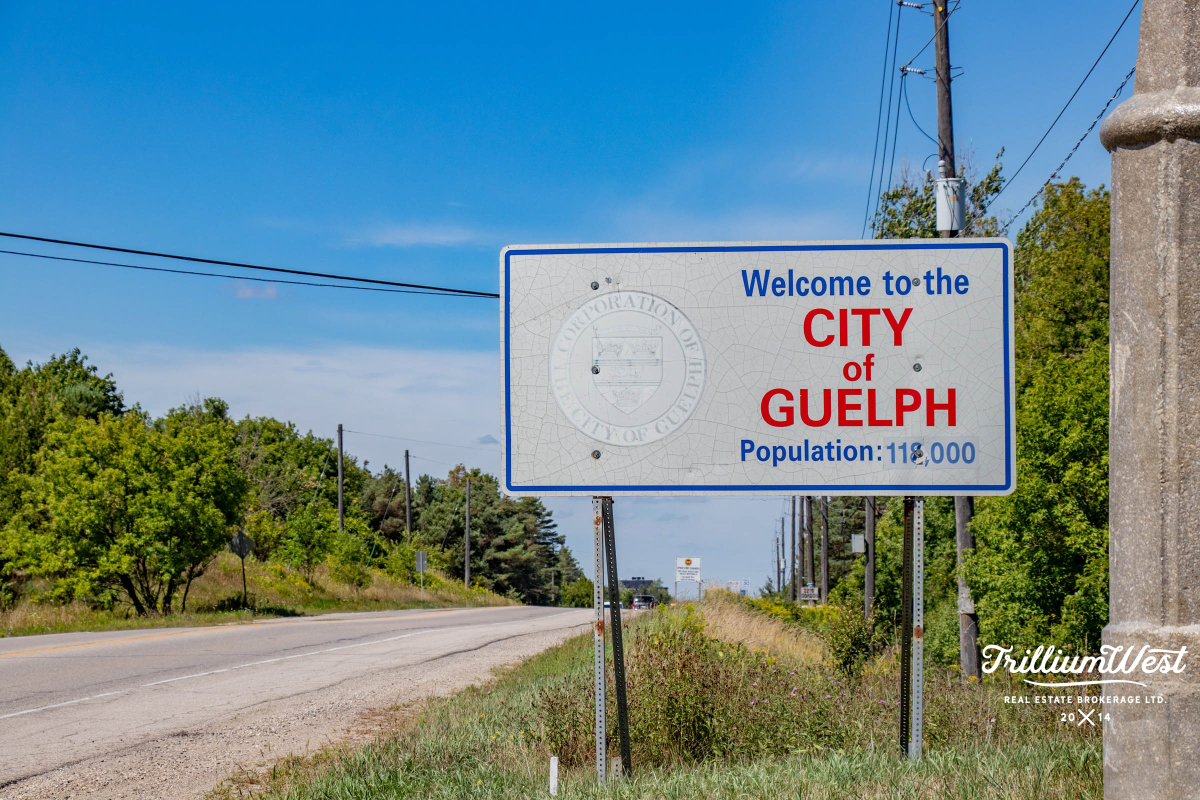 PergolaCommonsgallery 