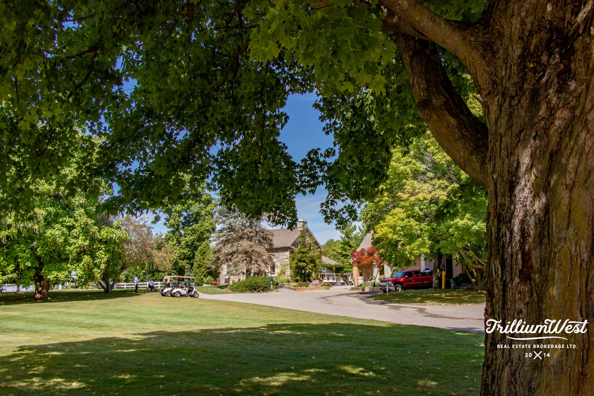 PergolaCommonsgallery 