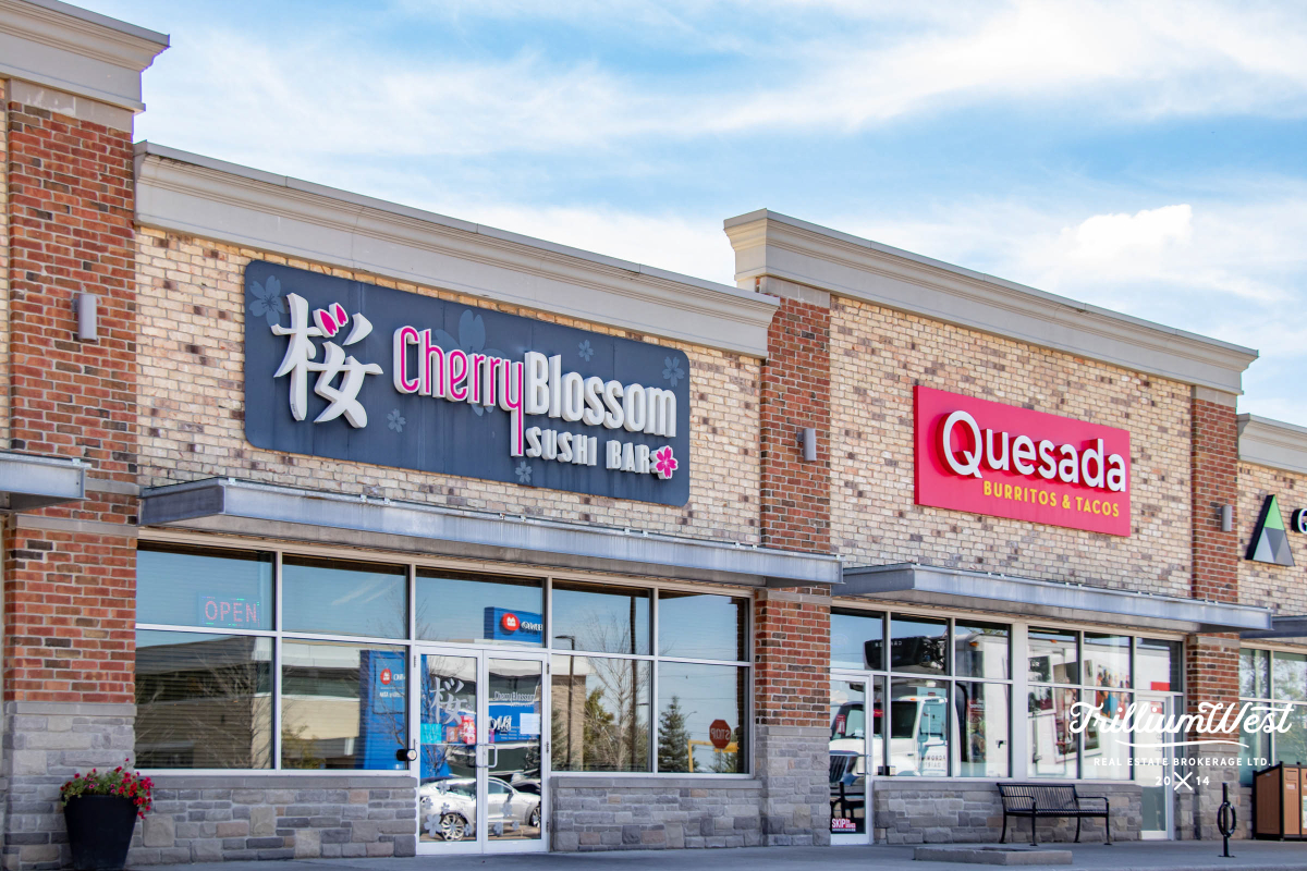 PergolaCommonsgallery 