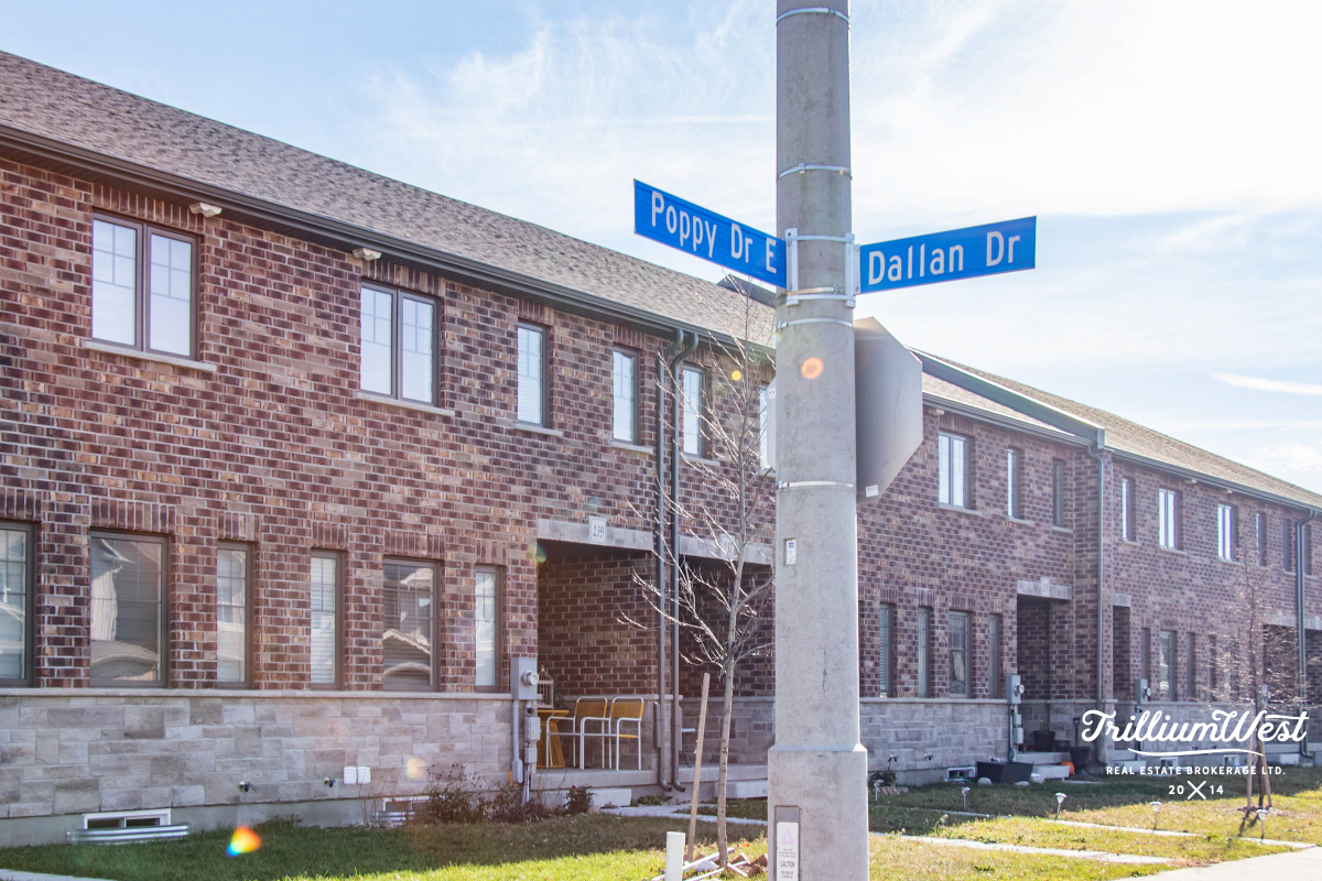 PergolaCommonsgallery 