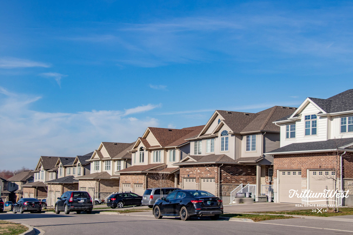 PergolaCommonsgallery 