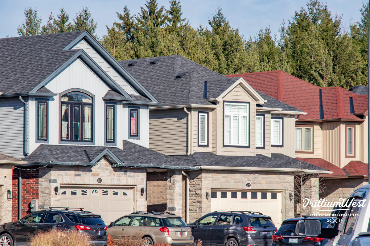 PergolaCommonsgallery 