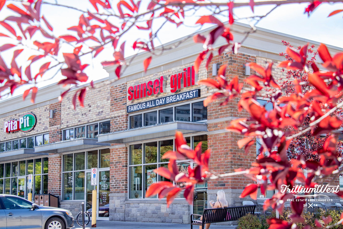 PergolaCommonsgallery 