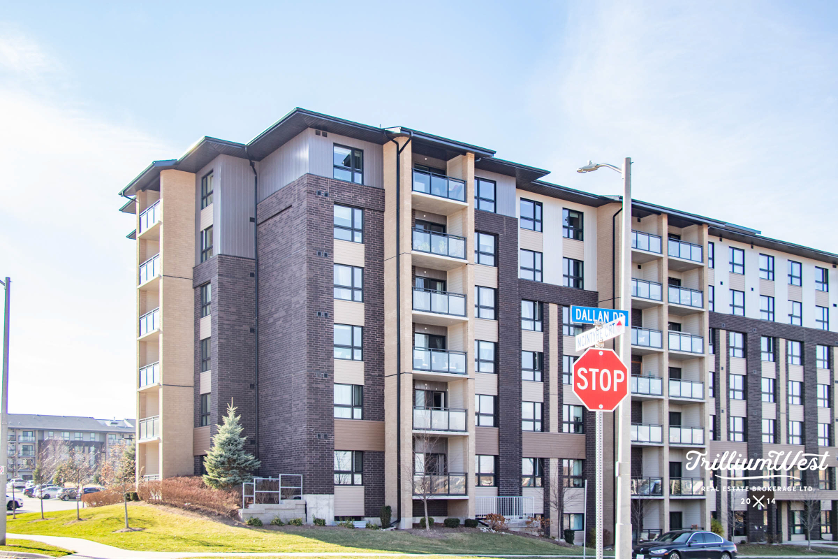 PergolaCommonsgallery 