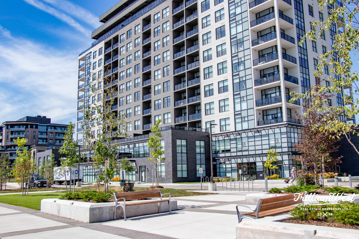 PergolaCommonsgallery 