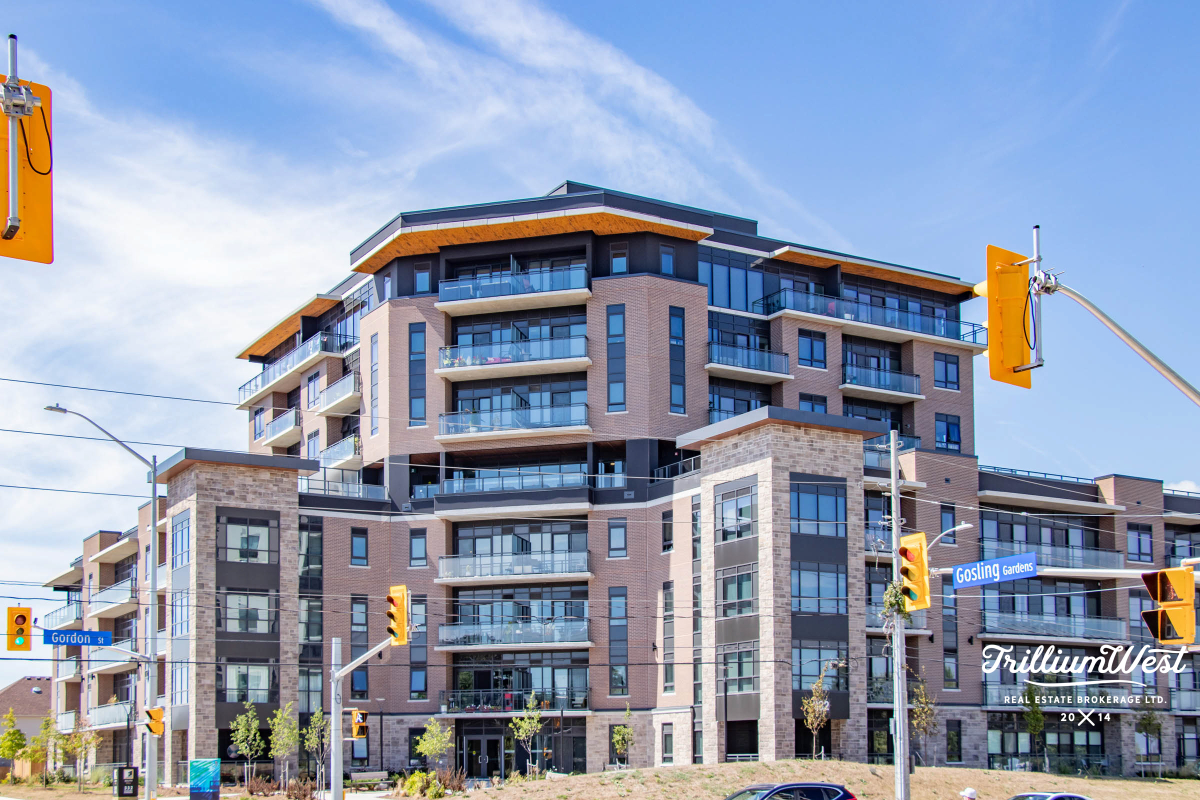 PergolaCommonsgallery 