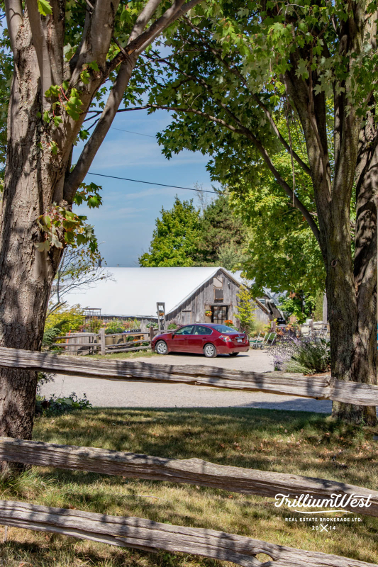 PergolaCommonsgallery 