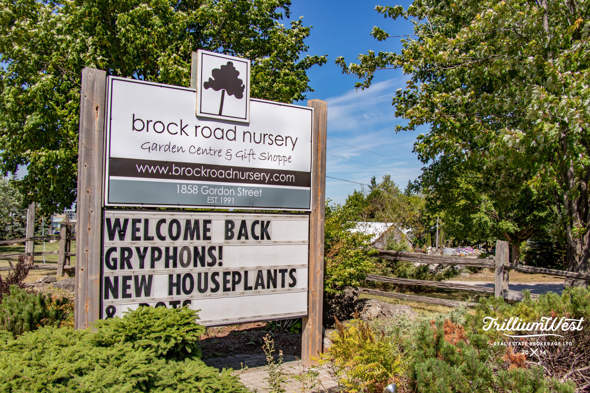 PergolaCommonsplaces 