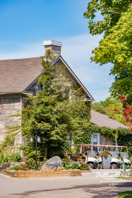 PergolaCommonsplaces 