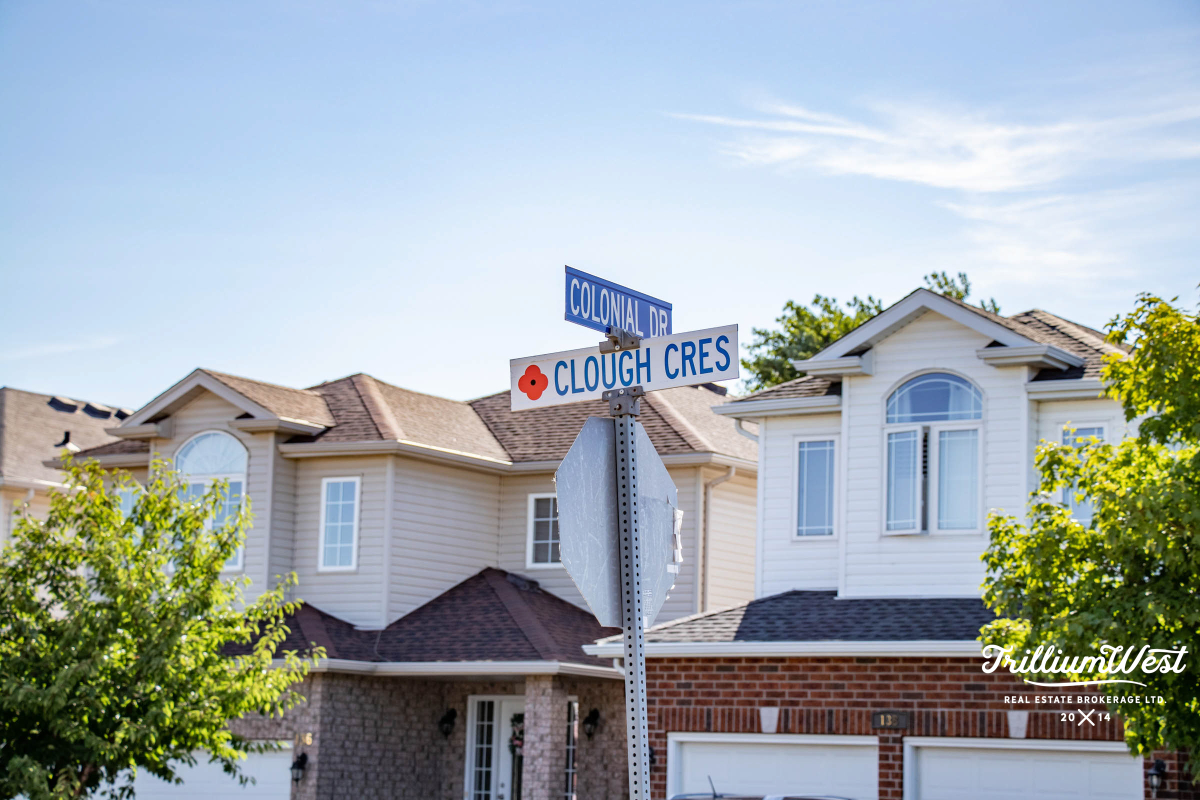 PineRidgeWestminstergallery 