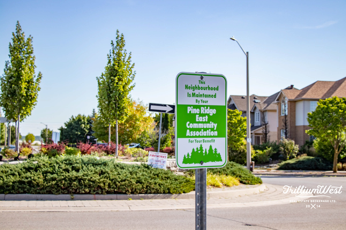 PineRidgeWestminstergallery 