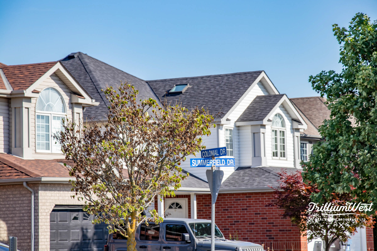 PineRidgeWestminstergallery 