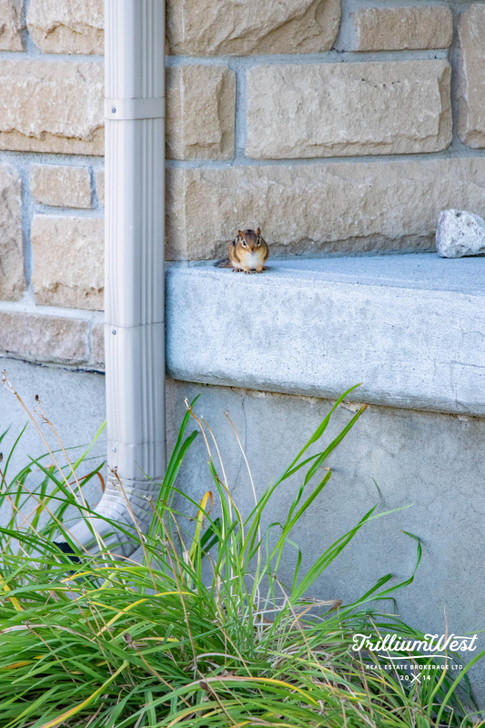 PineRidgeWestminstergallery 