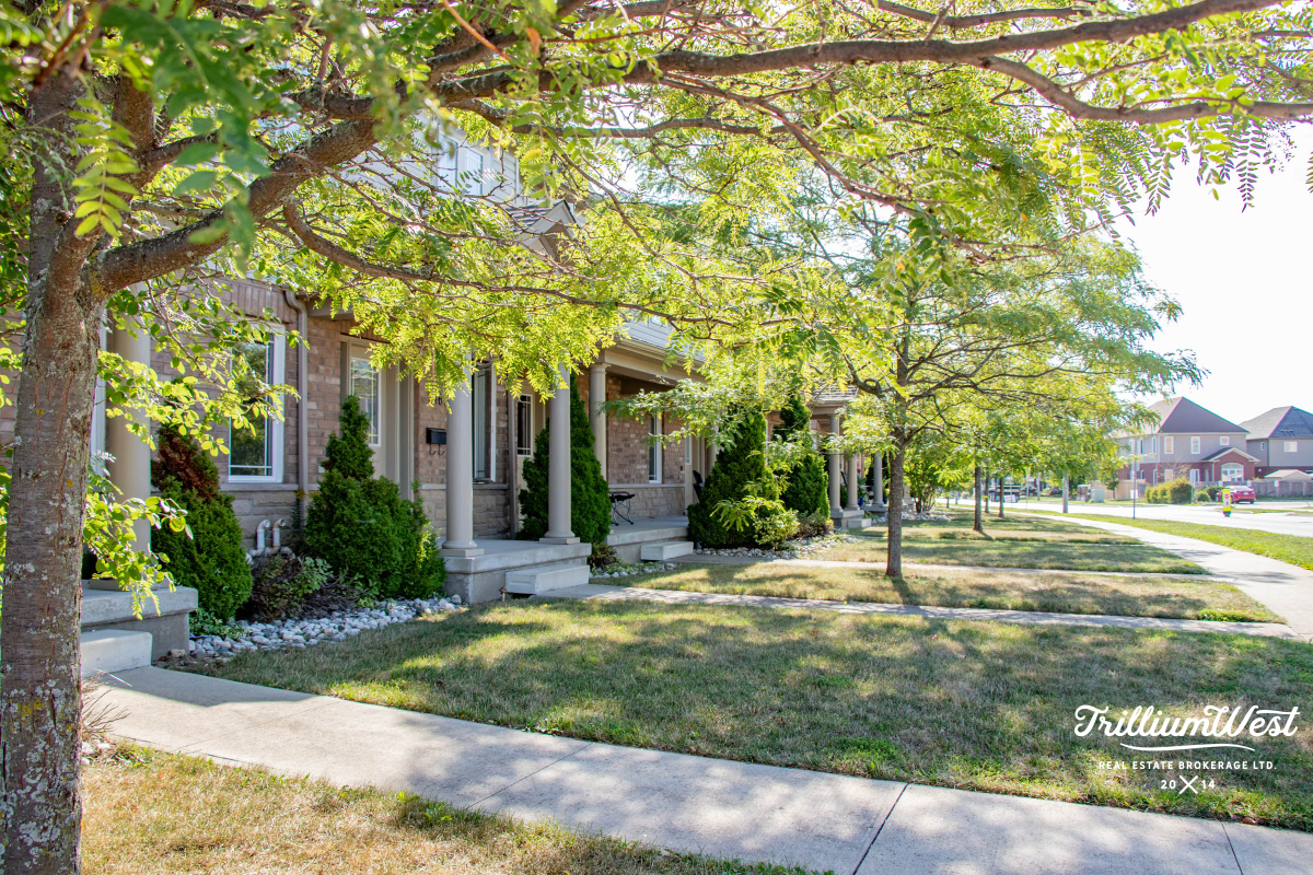 PineRidgeWestminstergallery 