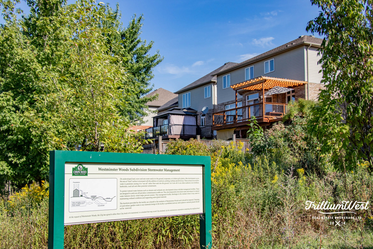 PineRidgeWestminstergallery 