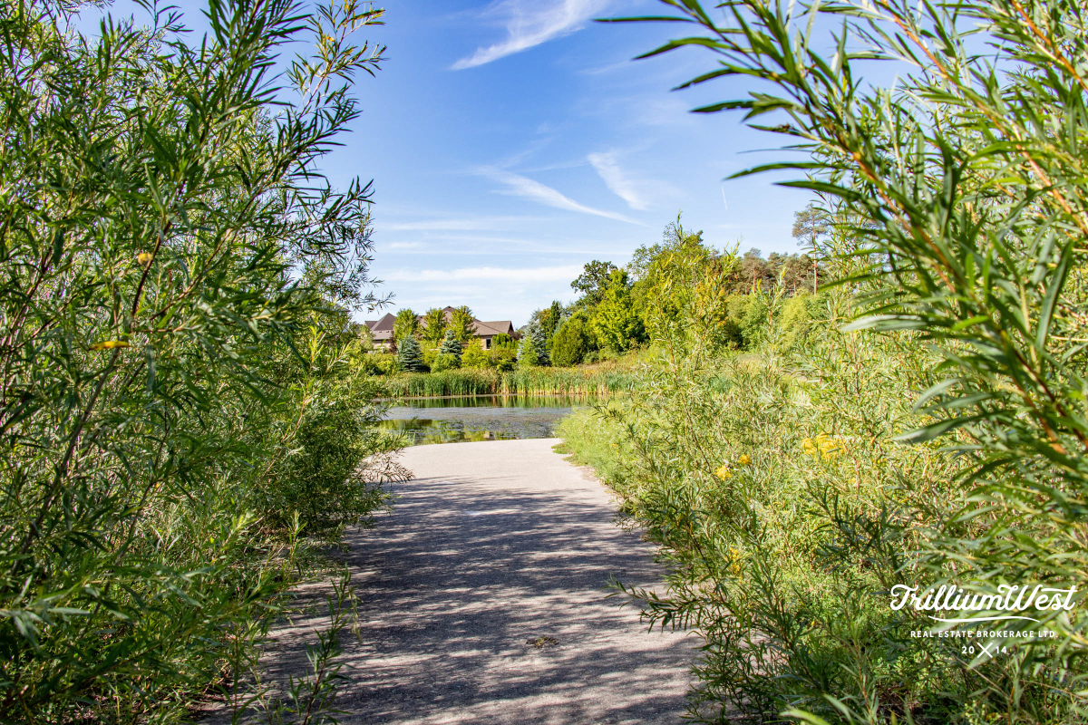 PineRidgeWestminstergallery 