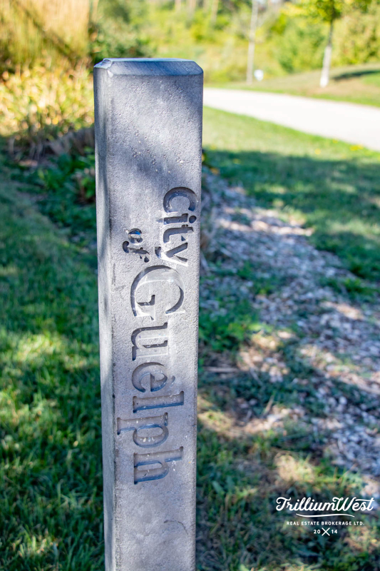 PineRidgeWestminstergallery 