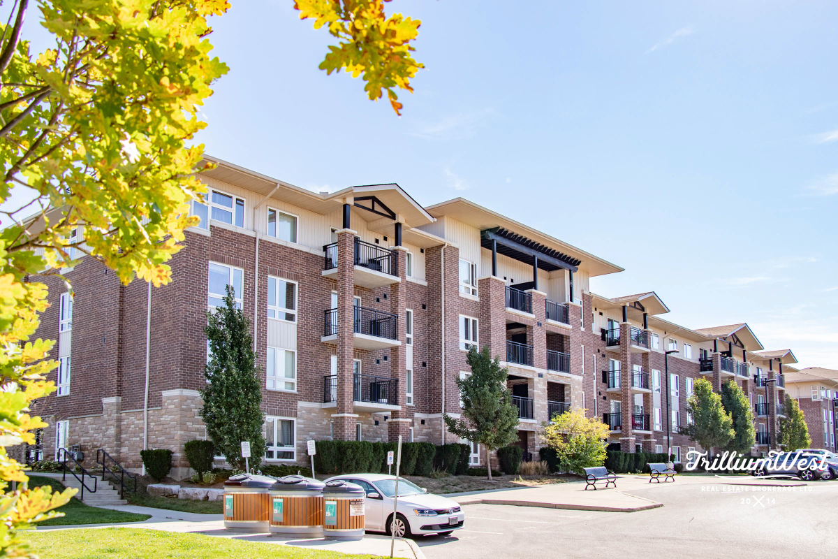 PineRidgeWestminstergallery 