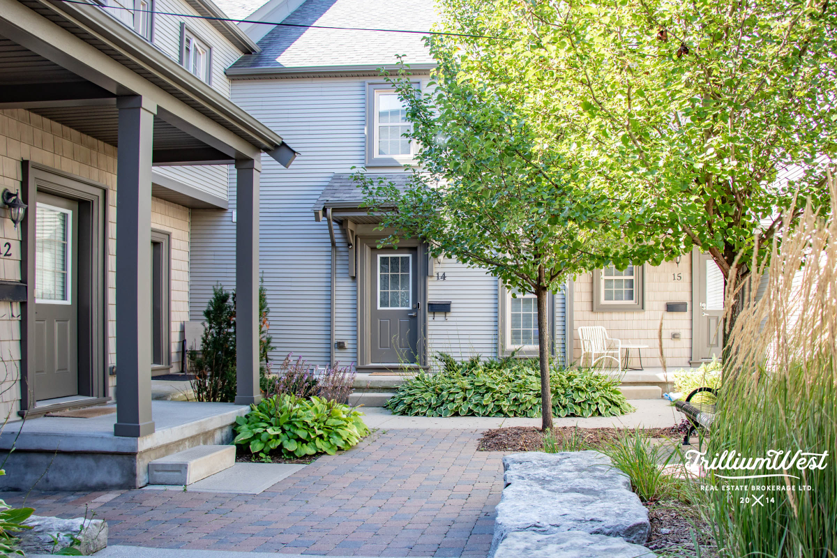 PineRidgeWestminstergallery 