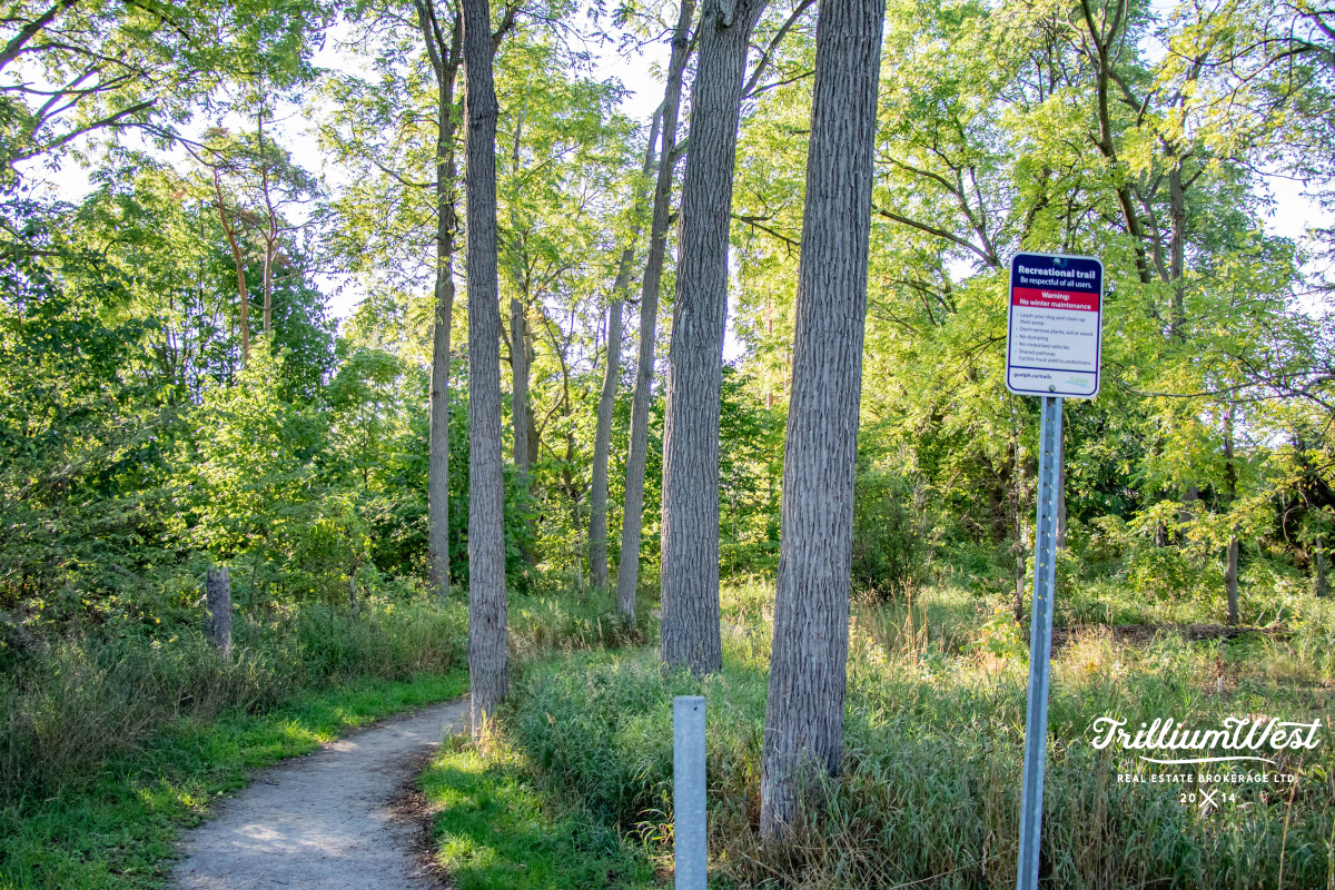 PineRidgeWestminstergallery 