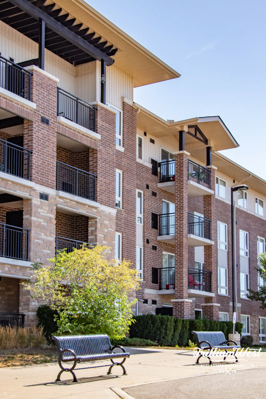 PineRidgeWestminstergallery 