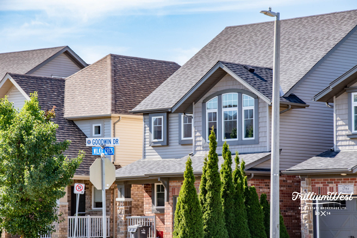 PineRidgeWestminstergallery 