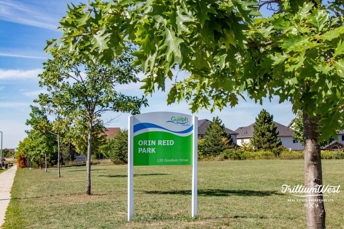 PineRidgeWestminstergallery 