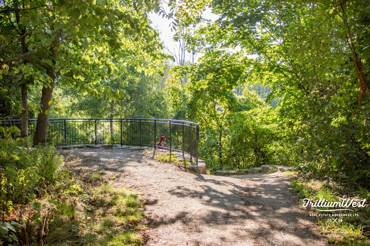 PineRidgeWestminstergallery 